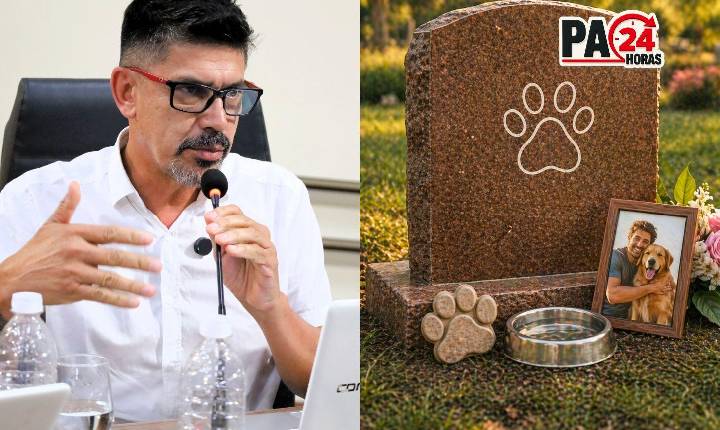 Câmara aprova sepultamento de cães e gatos em jazigos familiares de seus tutores em Pouso Alegre.