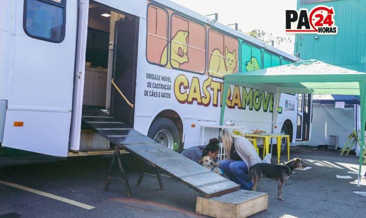 Castramóvel terá atendimentos gratuitos para cães e gatos no Centro, bairro dos Ferreira e Cidade Jardim; confira datas.