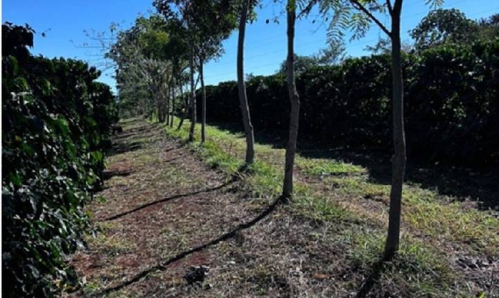 Cooperativa vende crédito de carbono