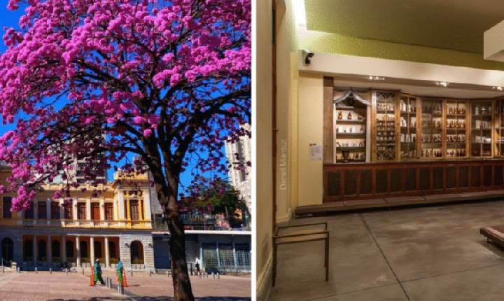 Feira da Estação realiza edição especial de Dia das Mães no SESI Museu de Artes e Ofícios