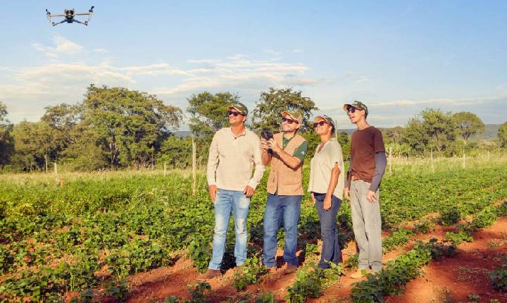 Sistema Faemg Senar lança campanha que leva o agro ao território da cultura